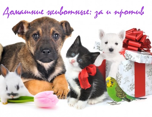 домашние животные за и против