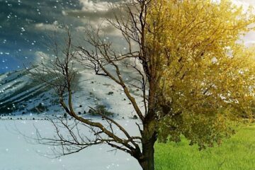 дітям про Стрітення